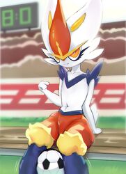 cinderace from pokemon