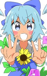 cirno from touhou