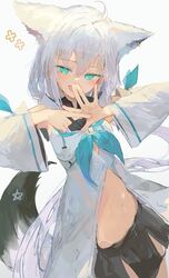 shirakami fubuki from hololive by ichika (ichika87)
