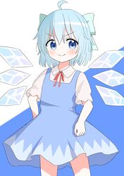 cirno from touhou