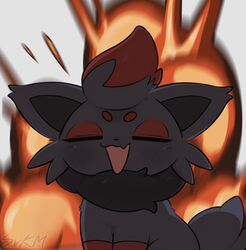 zorua from pokemon