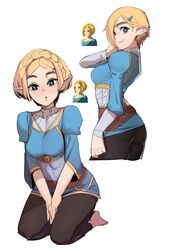 princess zelda from the legend of zelda by sho-n-d