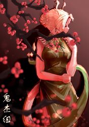 kicchou yachie from touhou