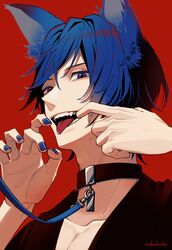kaito from vocaloid by nokuhashi