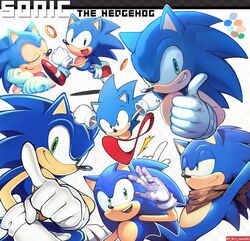 sonic the hedgehog from sonic (series)