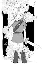 link from the legend of zelda by yamori (yamoooon21)