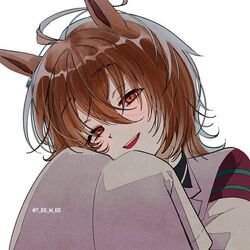 agnes tachyon (umamusume) from umamusume
