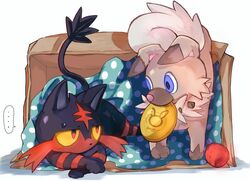 litten from pokemon