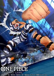 blugori from one piece