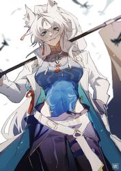 feixiao (honkai: star rail) from honkai: star rail