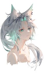 feixiao (honkai: star rail) from honkai: star rail
