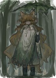 ishmael (project moon) from limbus company