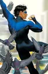 dick grayson from batman (series)