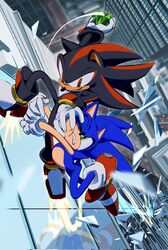 shadow the hedgehog from sonic (series)