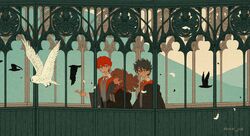 harry potter from harry potter (series)