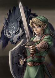link from the legend of zelda