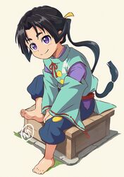houjou tokiyuki (nige jouzu no wakagimi) from nige jouzu no wakagimi