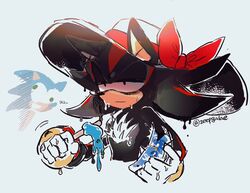 shadow the hedgehog from sonic (series)