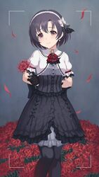 shiragiku hotaru from idolmaster by botan m
