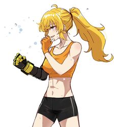 yang xiao long from rwby