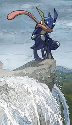 greninja from pokemon