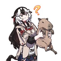 honkai (series) fan art
