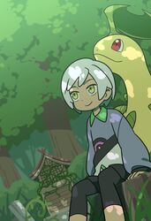 bayleef from pokemon by shuan 0420
