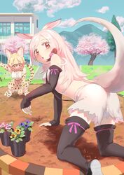 aardvark (kemono friends) from kemono friends