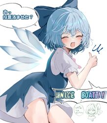 cirno from touhou