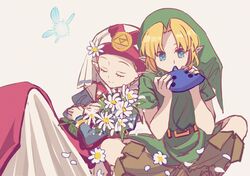 link from the legend of zelda