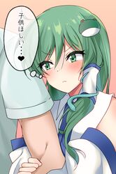 kochiya sanae from touhou