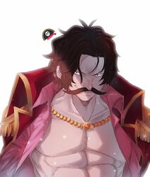 gol d. roger from one piece by awaji masaru