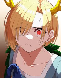 kicchou yachie from touhou