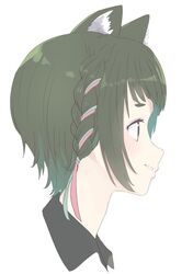 animare fan art