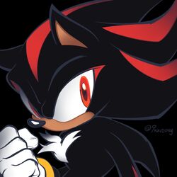 shadow the hedgehog from sonic (series)