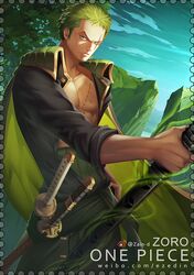 roronoa zoro from one piece by zhang ding
