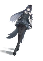 punishing: gray raven fan art