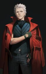 vergil (devil may cry) from devil may cry (series)
