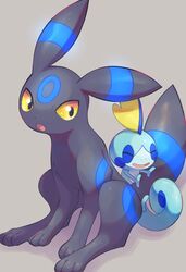 sobble from pokemon