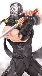 ryu hayabusa from dead or alive
