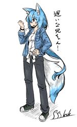 tenka hyakken fan art