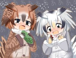 eurasian eagle owl (kemono friends) from kemono friends