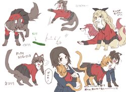 orange pekoe (girls und panzer) from girls und panzer by hasekura (hachinochun)