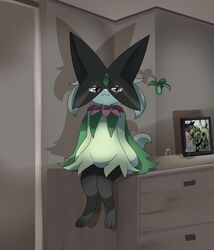 florian (pokemon) from pokemon