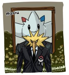togekiss from pokemon