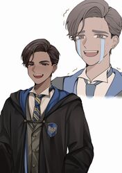 harry potter (series) fan art
