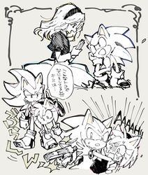 amy rose from sonic (series) by bukiko