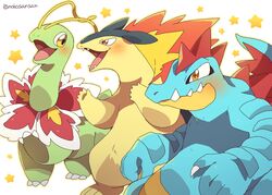 feraligatr from pokemon by roku (rokkrn)