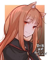 holo from spice and wolf by ayakura juu