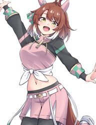 dantsu flame (umamusume) from umamusume